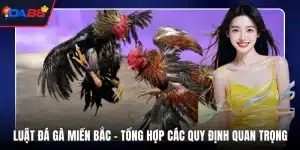 Luật đá gà Miền Bắc
